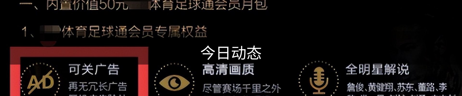 今日动态